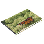 Viceroy Butterfly Beautiful Nature Photography Guest Book