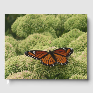 Viceroy Butterfly Beautiful Nature Photography Guest Book