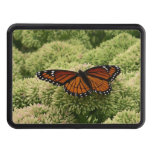 Viceroy Butterfly Beautiful Nature Photography Hitch Cover
