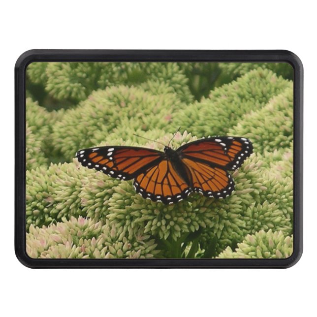 Viceroy Butterfly Beautiful Nature Photography Hitch Cover (Front)
