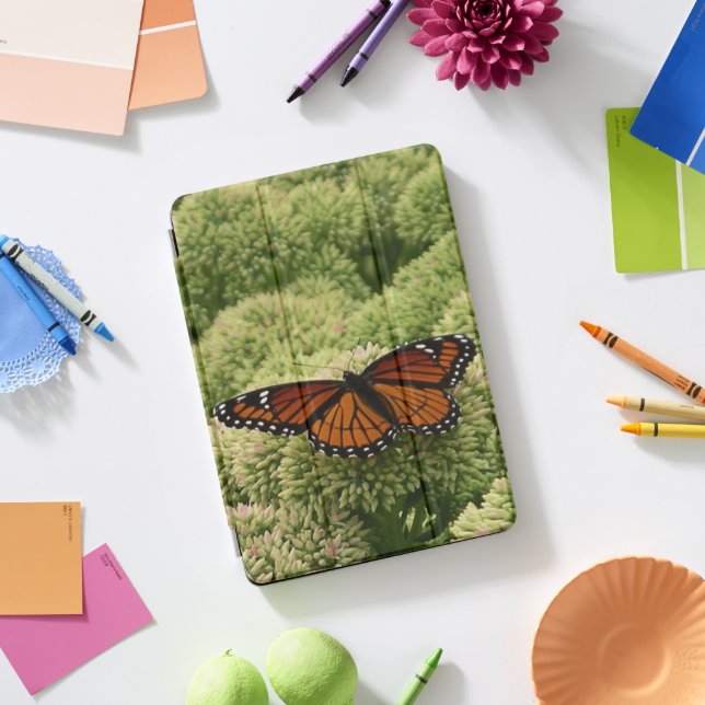Viceroy Butterfly Beautiful Nature Photography iPad Pro Cover (Desk)