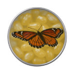 Viceroy Butterfly Beautiful Nature Photography Jelly Belly Candy Tin