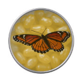 Viceroy Butterfly Beautiful Nature Photography Jelly Belly Candy Tin (Top)