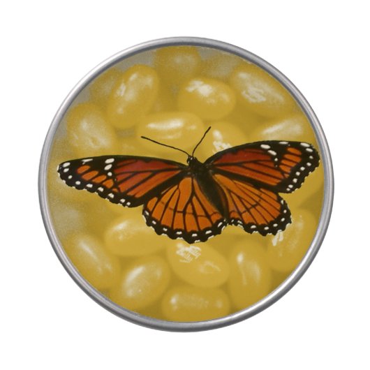 Viceroy Butterfly Beautiful Nature Photography Jelly Belly Candy Tin (Top)