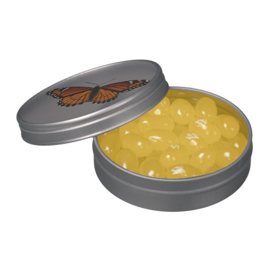 Viceroy Butterfly Beautiful Nature Photography Jelly Belly Candy Tin (Opened)