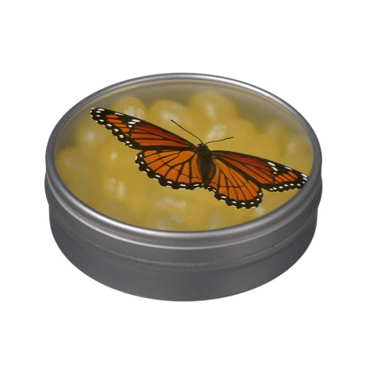Viceroy Butterfly Beautiful Nature Photography Jelly Belly Candy Tin (Side)