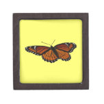 Viceroy Butterfly Beautiful Nature Photography Jewelry Box
