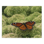 Viceroy Butterfly Beautiful Nature Photography Jigsaw Puzzle