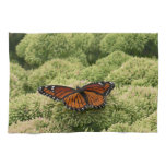 Viceroy Butterfly Beautiful Nature Photography Kitchen Towel