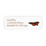 Viceroy Butterfly Beautiful Nature Photography Label