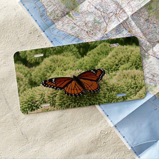 Viceroy Butterfly Beautiful Nature Photography License Plate (In Situ)