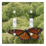 Viceroy Butterfly Beautiful Nature Photography Light Switch Cover
