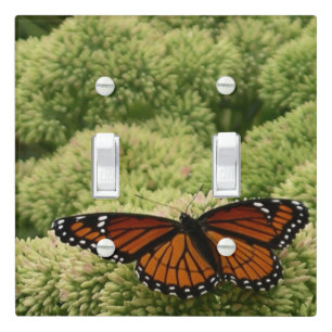 Viceroy Butterfly Beautiful Nature Photography Light Switch Cover