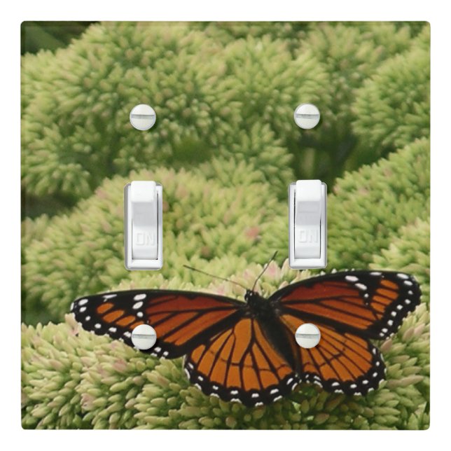 Viceroy Butterfly Beautiful Nature Photography Light Switch Cover (In Situ)