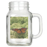 Viceroy Butterfly Beautiful Nature Photography Mason Jar