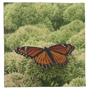 Viceroy Butterfly Beautiful Nature Photography Napkin