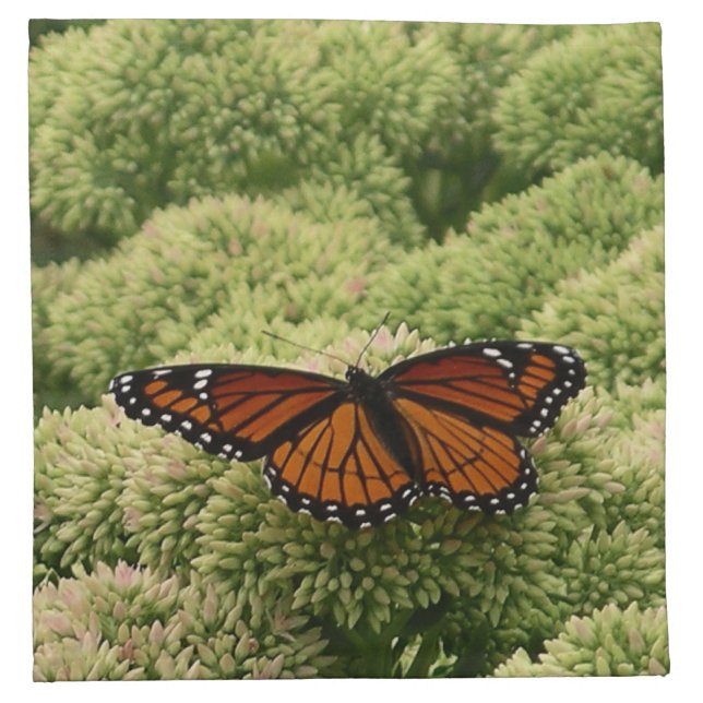Viceroy Butterfly Beautiful Nature Photography Napkin (Front)