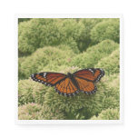 Viceroy Butterfly Beautiful Nature Photography Napkins