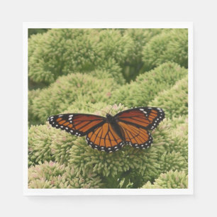 Viceroy Butterfly Beautiful Nature Photography Napkins