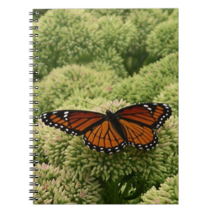 Viceroy Butterfly Beautiful Nature Photography Notebook