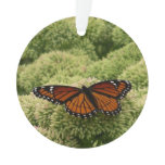 Viceroy Butterfly Beautiful Nature Photography Ornament