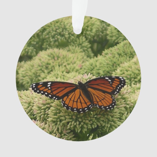 Viceroy Butterfly Beautiful Nature Photography Ornament (Front)