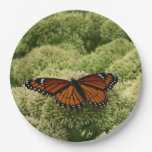 Viceroy Butterfly Beautiful Nature Photography Paper Plate