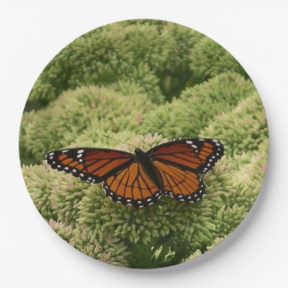 Viceroy Butterfly Beautiful Nature Photography Paper Plates