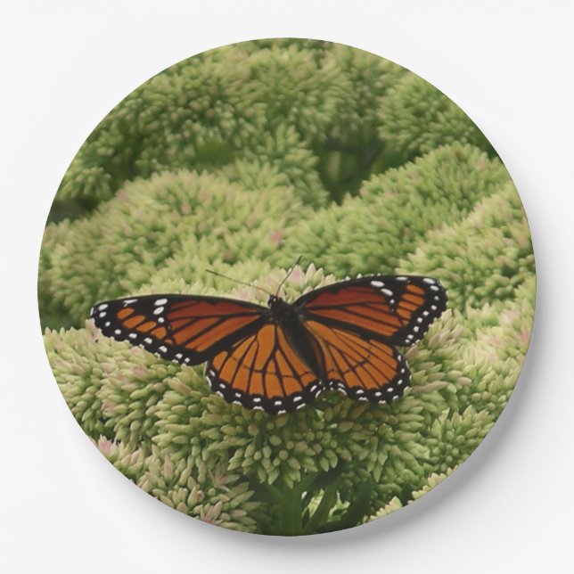 Viceroy Butterfly Beautiful Nature Photography Paper Plates (Front)