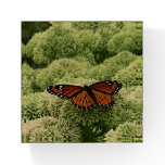 Viceroy Butterfly Beautiful Nature Photography Paperweight