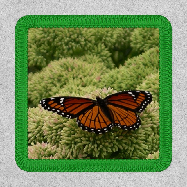 Viceroy Butterfly Beautiful Nature Photography Patch (Front)