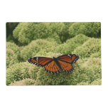 Viceroy Butterfly Beautiful Nature Photography Placemat