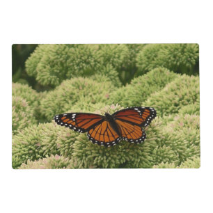 Viceroy Butterfly Beautiful Nature Photography Placemat