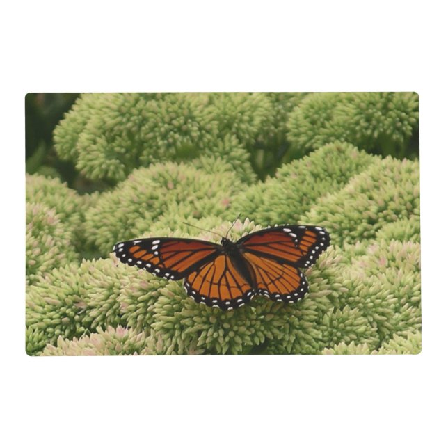 Viceroy Butterfly Beautiful Nature Photography Placemat (Front)