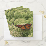 Viceroy Butterfly Beautiful Nature Photography Pocket Folder
