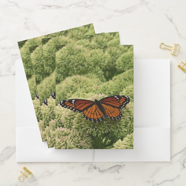 Viceroy Butterfly Beautiful Nature Photography Pocket Folder (In Situ)