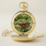 Viceroy Butterfly Beautiful Nature Photography Pocket Watch