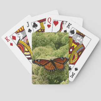 Viceroy Butterfly Beautiful Nature Photography Poker Cards