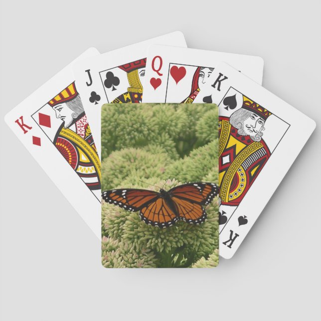 Viceroy Butterfly Beautiful Nature Photography Poker Cards (Back)