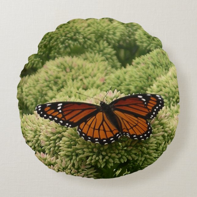 Viceroy Butterfly Beautiful Nature Photography Round Pillow (Front)