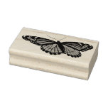 Viceroy Butterfly Beautiful Nature Photography Rubber Stamp
