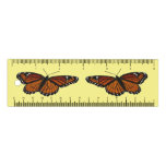 Viceroy Butterfly Beautiful Nature Photography Ruler