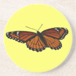 Viceroy Butterfly Beautiful Nature Photography Sandstone Coaster
