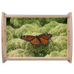 Viceroy Butterfly Beautiful Nature Photography Serving Tray