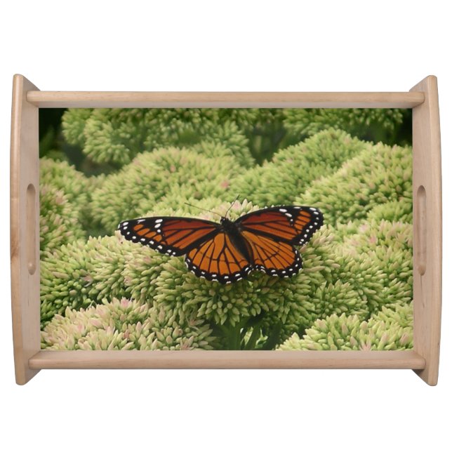 Viceroy Butterfly Beautiful Nature Photography Serving Tray (Front)