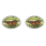 Viceroy Butterfly Beautiful Nature Photography Silver Cufflinks