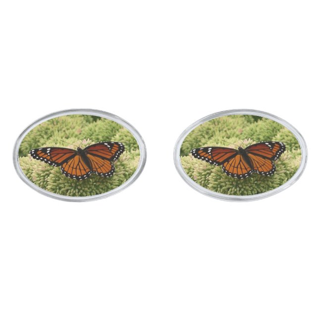 Viceroy Butterfly Beautiful Nature Photography Silver Cufflinks (Front)