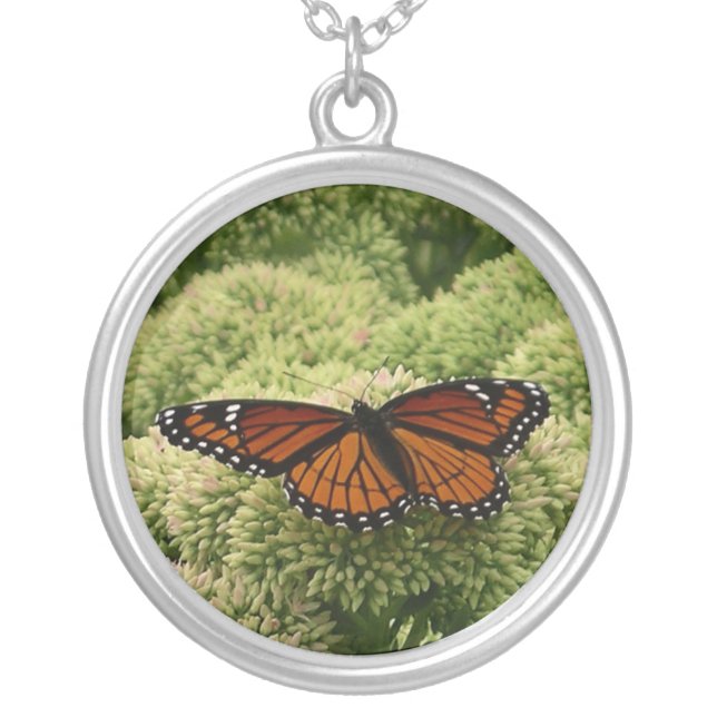 Viceroy Butterfly Beautiful Nature Photography Silver Plated Necklace (Front)