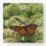 Viceroy Butterfly Beautiful Nature Photography Square Wall Clock