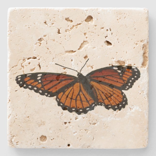 Viceroy Butterfly Beautiful Nature Photography Stone Coaster (Front)